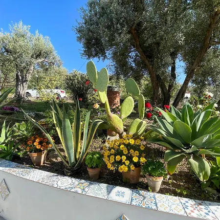 Agave Apartament *
