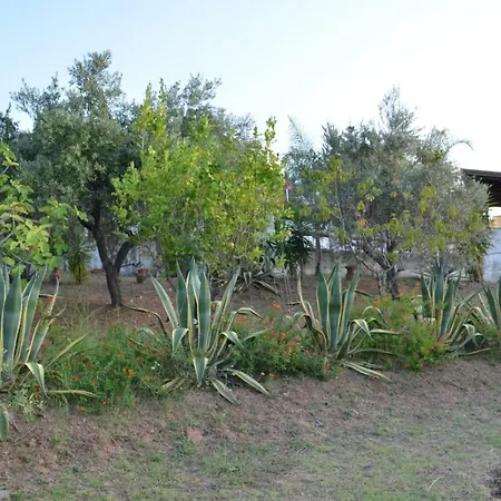 Agave Lejlighed *