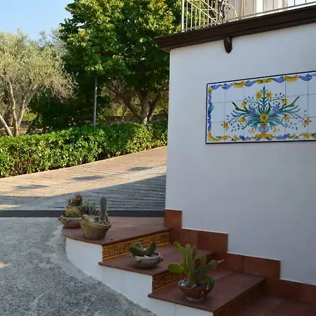 Agave * Torrenova (Sicily)
